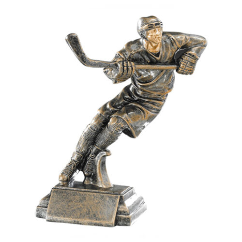Trofeos de Patinaje.Hockey.**