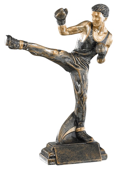 Trofeo de Kick Boxing Ref.52558 Altura 27cm**