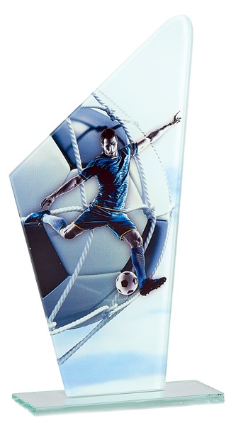 Trofeo de Fútbol  Ref. 66111 Altura 22cm**