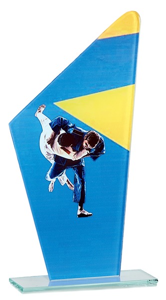 Trofeo de Judo   Ref. 66114 Altura 22cm**