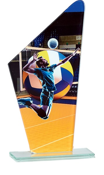 Trofeo de Voleibol   Ref.202/ 66119  Altura 22cm**
