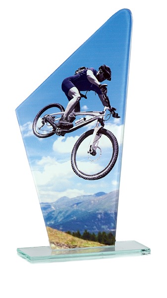 Trofeo de Mountain bike   Ref.202/ 66120  Altura 22cm**