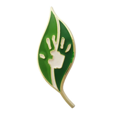 Pin Especial.