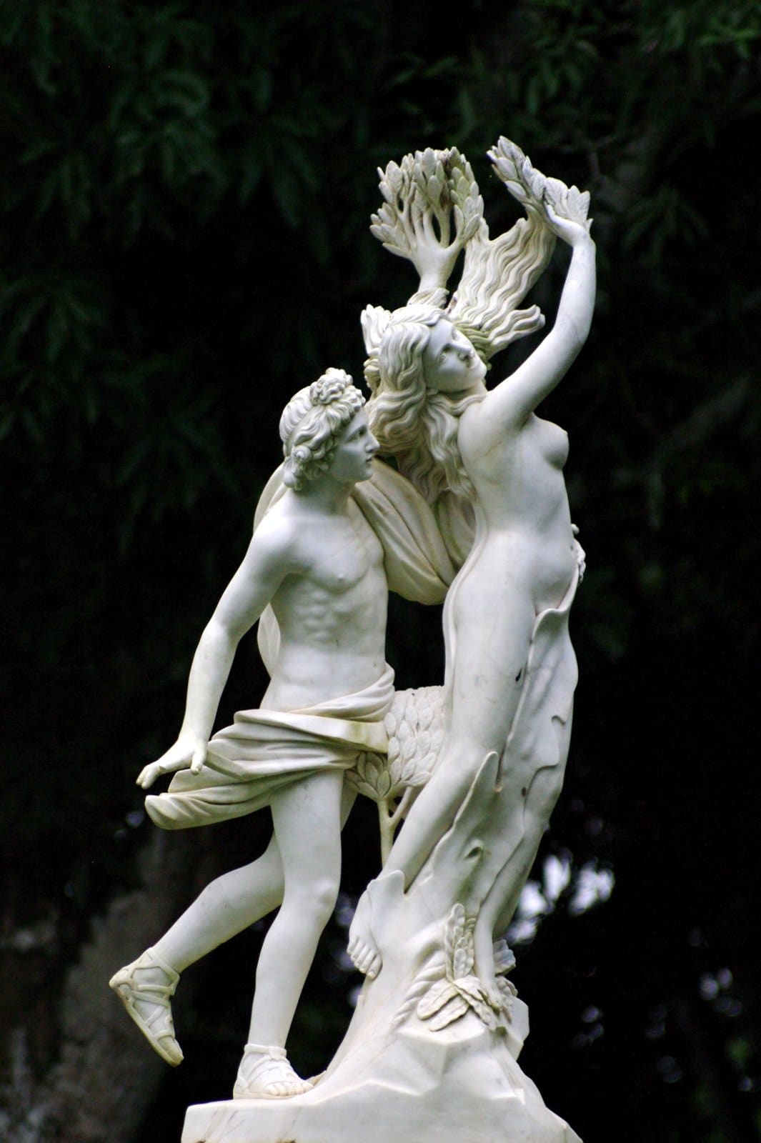 apolo y dafne