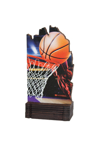 Trofeo de Baloncesto Ref.243/ 22402  Altura 13cm**