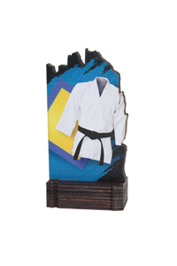 Trofeo de judo Ref.244/22414  Altura 13cm**