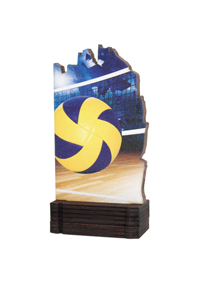 Trofeo de Voleibol  Ref.244/ 22423  Altura 13cm**