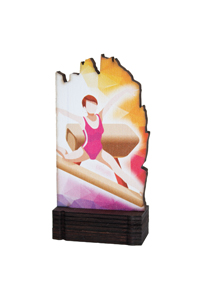 Trofeo de Gimnasia Artística  Ref.245/ 22428  Altura 13cm**