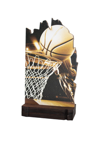 Trofeo de Baloncesto Ref.245/22601 Altura 19cm**