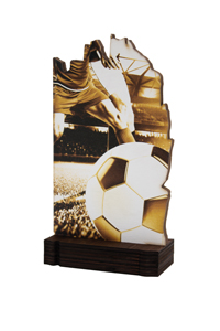 Trofeo de Fútbol Ref.22602 Altura 19cm**