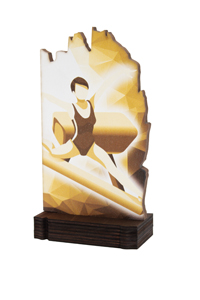 Trofeo de Gimnasia Artística Ref.246/22611 Altura 19cm**