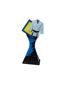 Trofeo de Artes Marciales Ref.248/22712  Altura 17cm**