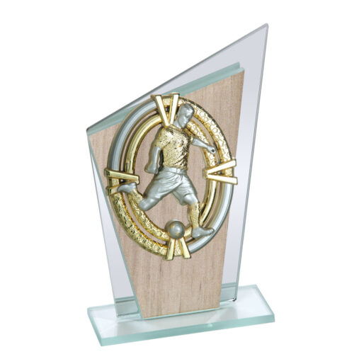 Trofeos con aplique serie NG