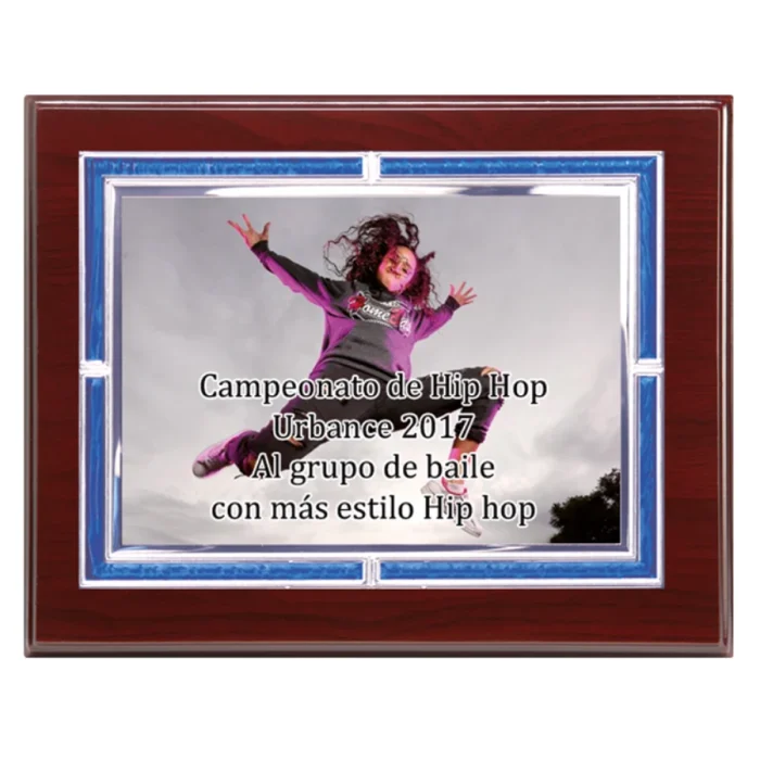 Placa + madera economica ref: 123-5141