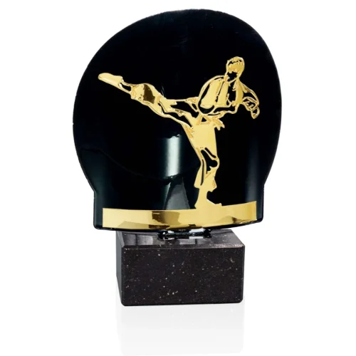 Trofeo de karate/taekwondo  Ref.242/ FM08 Alturas 18cm 19cm 21cm**