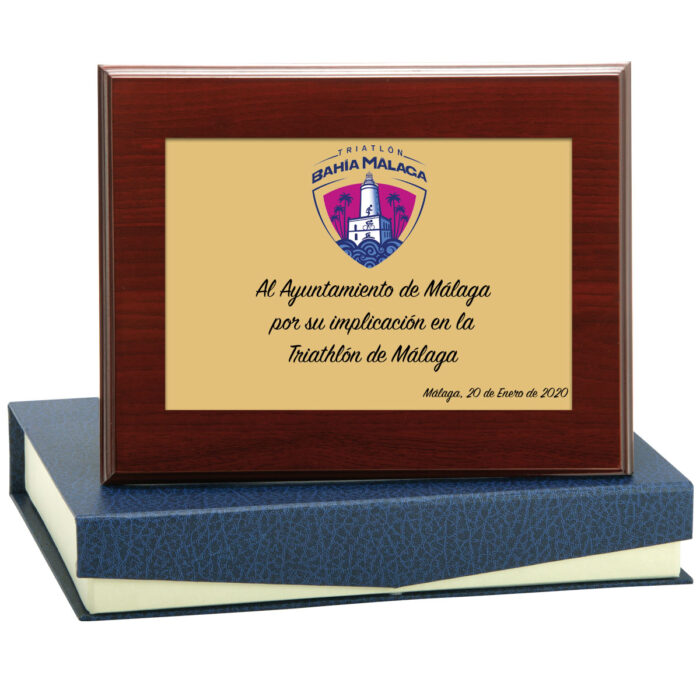 Honorifica Ref.131-5380G Altura 14x10cm **