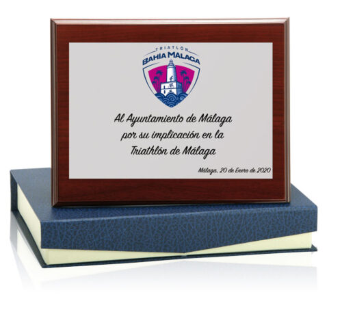 Honorifica Ref.131-5380S Altura 14x10cm **