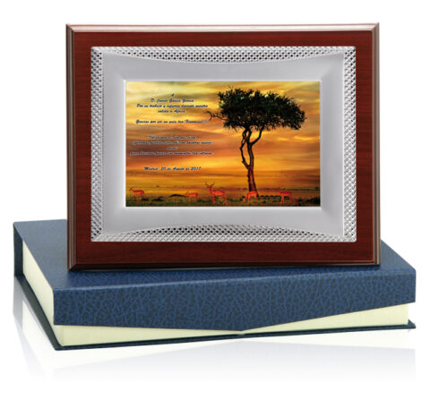 Honorifica Ref.132-5111 Alturas 24x19cm 29x 23cm**