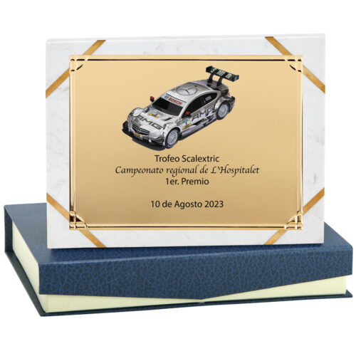 Placas Honorificas con estuche,grabación y logo incluido en el precio total.**