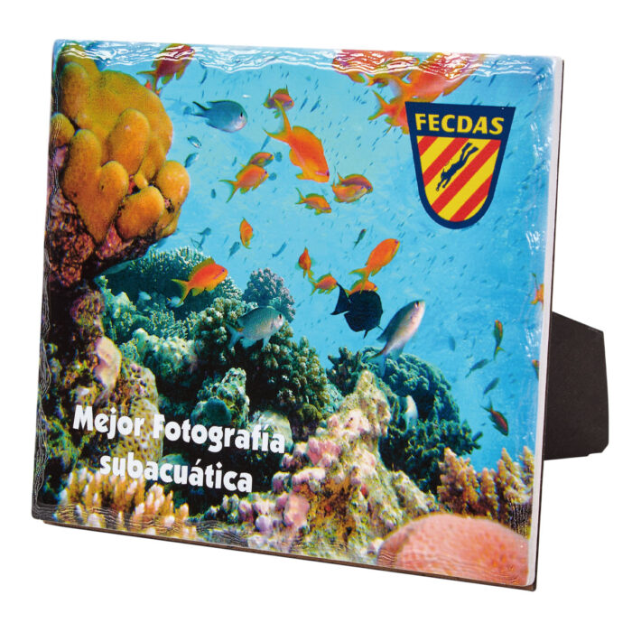 Pizarra Ref. 151/2017-P1 S4  Alturas 20x17cm 24x19cm**