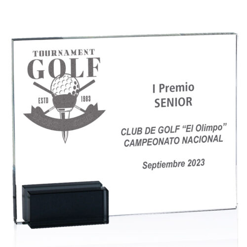 Cristal Ref: 159/40971G1 Alturas 21cm x 17cm 24cm x 19cm**