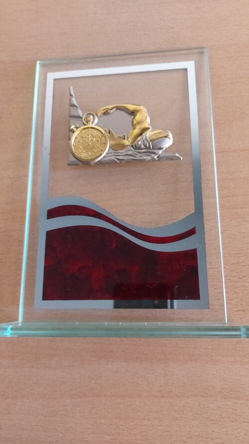 Trofeo de natación  Ref.77777  Altura 19cm  Existencias (2)*****