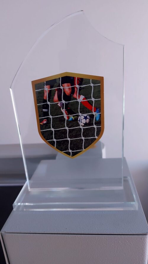 Trofeo de Futbol  Ref. 44799  19cm  Existencias (1)*****