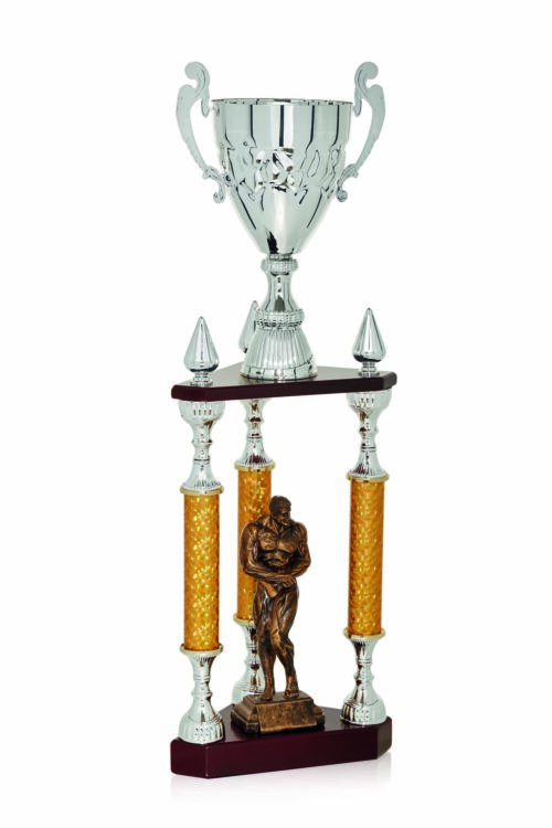 Trofeos de Columnas