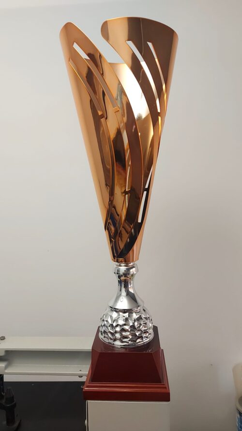 Copa de Oferta  Ref. 8883 Alturas 55cm 58cm 61cm **