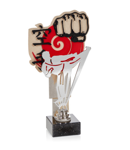 Trofeo de Artes Marciales  Ref.NTX08 Alturas 28cm 30cm 32cm**