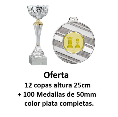 Ref. 4002 Lote de 12 copas altura 25cm + 100 medallas plata completas.