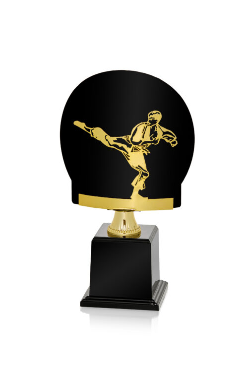Trofeo de artes marciales  Ref. FR08 Alturas 23cm 25cm 27cm